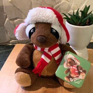 SEARS | Reginald Racoon 2009 Charity Bear